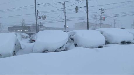 Alemania: tormenta de nieve y temperaturas bajo cero frenan al país