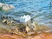 Club estrenan Mareas