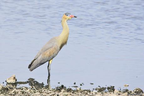 Laguna de Puán