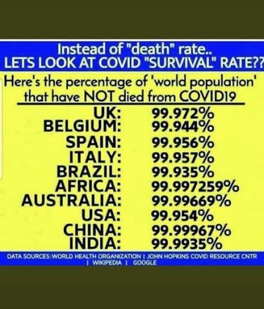 La Gran Mentira. La Pandemia que nunca existió. Datos oficiales