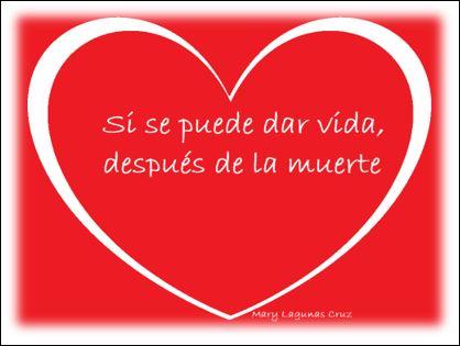 Cuestión de amor, donación de órganos