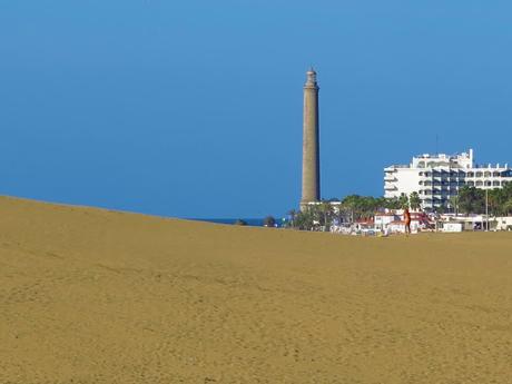 Dunas y Charca de Maspalomas: tesoros en peligro Dunas y Charca de Maspalomas: tesoros en peligro
