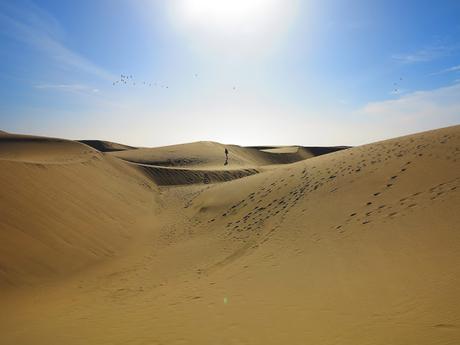 Dunas y Charca de Maspalomas: tesoros en peligro Dunas y Charca de Maspalomas: tesoros en peligro