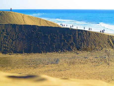 Dunas y Charca de Maspalomas: tesoros en peligro Dunas y Charca de Maspalomas: tesoros en peligro
