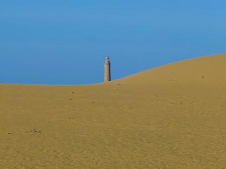 Dunas y Charca de Maspalomas: tesoros en peligro Dunas y Charca de Maspalomas: tesoros en peligro