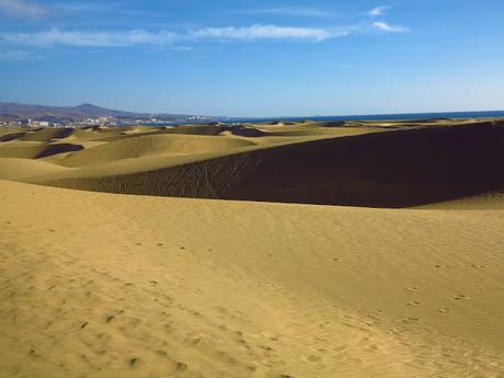 Dunas y Charca de Maspalomas: tesoros en peligro Dunas y Charca de Maspalomas: tesoros en peligro