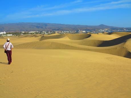 Dunas y Charca de Maspalomas: tesoros en peligro Dunas y Charca de Maspalomas: tesoros en peligro