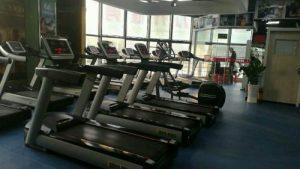 感受决赛现场音乐能量，2019虾米x滚石原创歌手大赛圆满收官-亚博APP下载