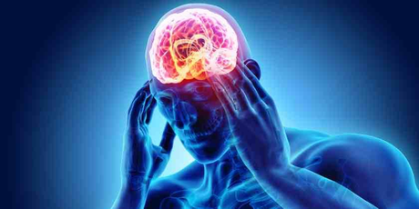 Estrés Laboral, combátelo con Flores de Bach Estrés Laboral, combátelo con Flores de Bach