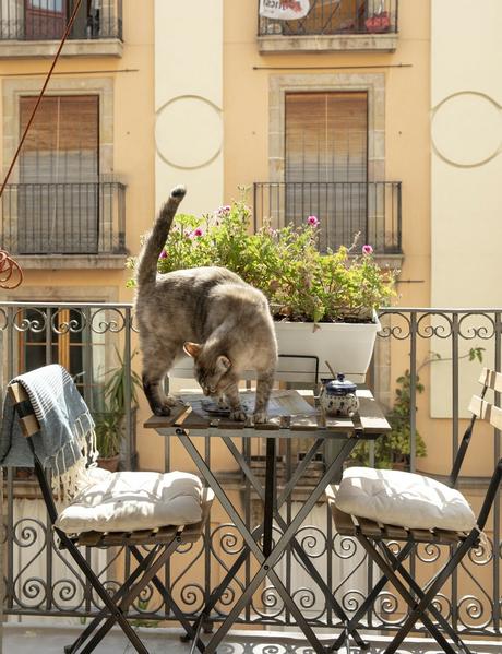 delikatissen scandinavian style scandinavian mediterranean scandinavian in barcelona nordic mediterranean mediterranean interiors mediterranean inspiration mediterranean decor mediterranean coastal luxury apartment el born barcelona estilo minimal mediterraneo estilo costero mediterraneo apartamento de lujo apartamento barcelona delikatissen scandinavian style scandinavian mediterranean scandinavian in barcelona nordic mediterranean mediterranean interiors mediterranean inspiration mediterranean decor mediterranean coastal luxury apartment el born barcelona estilo minimal mediterraneo estilo costero mediterraneo apartamento de lujo apartamento barcelona