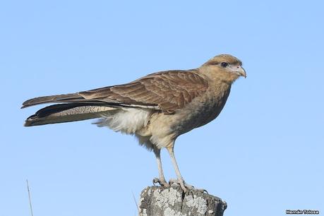 Udaondo y alrededores (julio 2020)