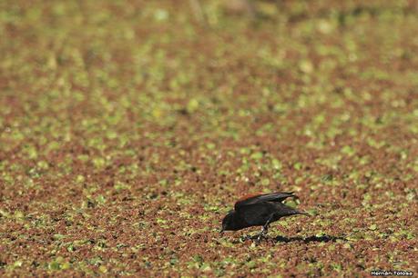 Udaondo y alrededores (julio 2020)