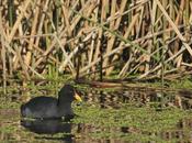 Udaondo alrededores (julio 2020)