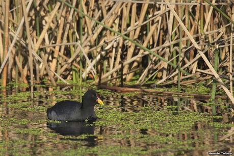 Udaondo y alrededores (julio 2020)