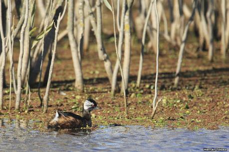 Udaondo y alrededores (julio 2020)