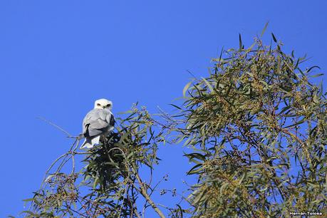 Udaondo y alrededores (julio 2020)