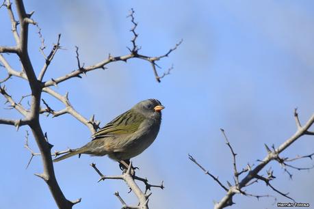 Udaondo y alrededores (julio 2020)