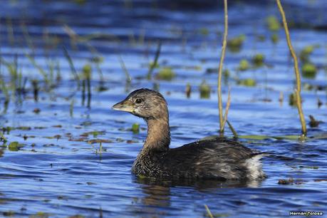 Udaondo y alrededores (julio 2020)