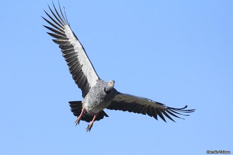 Udaondo y alrededores (julio 2020)