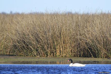 Udaondo y alrededores (julio 2020)