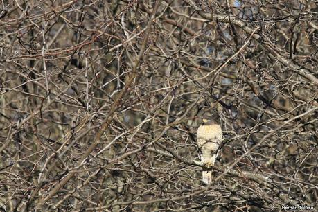 Udaondo y alrededores (julio 2020)