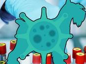 cuenta propia cepa Coronavirus