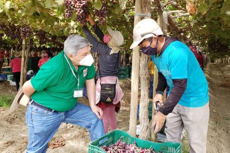 Elecciones 2021: Beingolea ofrece generar trabajo formal en cinco sectores