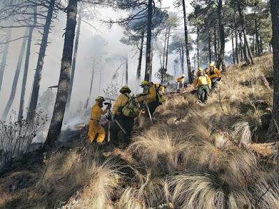 CONTROLAN COMBATIENTES DE PROBOSQUE INCENDIO FORESTAL EN EL CERRO DE JOCOTITLÁN