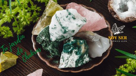 Un Jardín de Chakras ¿Se te había ocurrido? Un Jardín de Chakras ¿Se te había ocurrido?