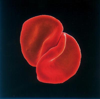 Efemérides del Rock y Heavy Metal: Que pasó un 12 de Febrero Efemérides del Rock y Heavy Metal: Que pasó un 12 de Febrero