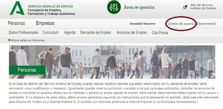 Cómo incluir el CV en el SAE Cómo incluir el CV en el SAE