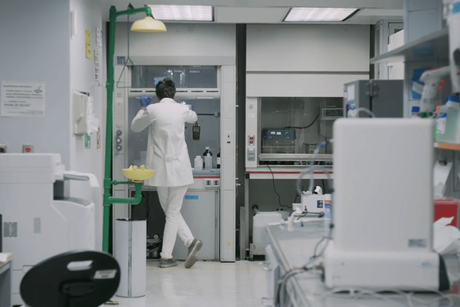 Conservacionistas suplican que dejen de “ordeñar” sapos psicodélicos