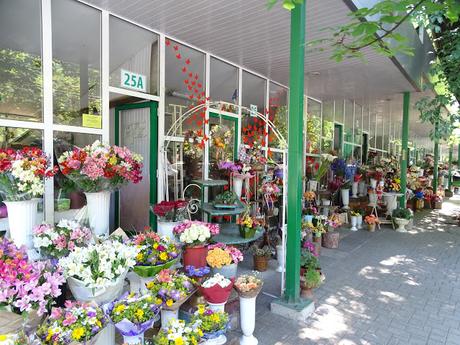REPÚBLICA DE MOLDAVIA: UN PASEO POR CHISINAU