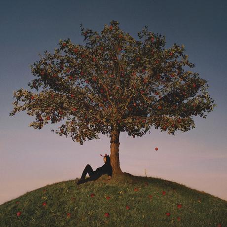 Audio Slowthai, nuevo álbum 