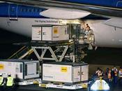 Perú: llegan dosis vacuna mientras aumentan muertes COVID-19