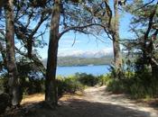 Bonito, Villa Angostura. Argentina