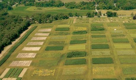 Los ODS y las nuevas oportunidades para las empresas