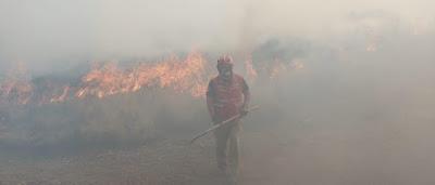 AUTORIDADES Y SERVICIOS DE EMERGENCIA ESFUERZOS PARA COMBATIR INCENDIO EN EJIDO DE SAN JUAN DE LAS HUERTAS