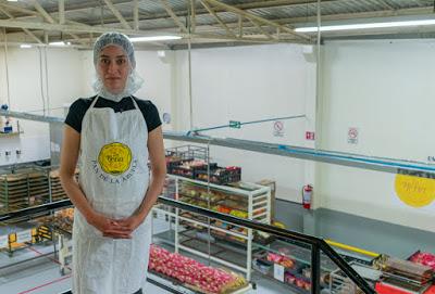 OFRECE GEM Y CONSEJO MEXICANO DE NEGOCIOS CAPACITACIÓN A PYMES PARA SER PROVEEDORES DE GRANDES FIRMAS