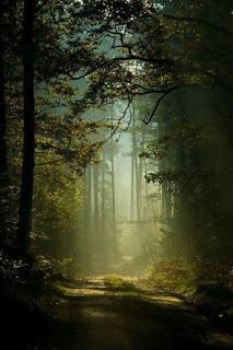 4.465 - CREO QUE ES PRONTO...