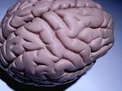 Porqué algunos sobrevivientes COVID presentan 'niebla mental'