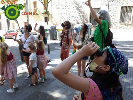 Más Aver Aves por toda España