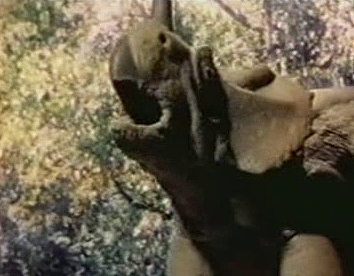 Dinosaur Babes (1996) Dinosaur Babes (1996)