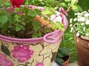 Usos ASOMBROSOS AGUA OXIGENADA Plantas INSECTICIDA FUNGIC...