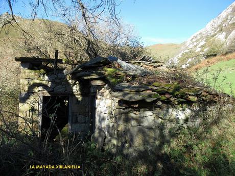 L´Omedal-Ciébana-Xiblaniella-El Pedregal-Facéu