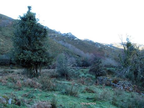 L´Omedal-Ciébana-Xiblaniella-El Pedregal-Facéu