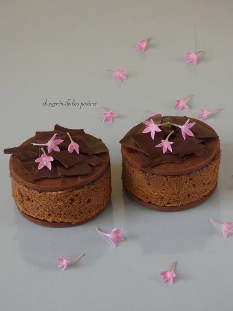 Galletas Sacher Galletas Sacher