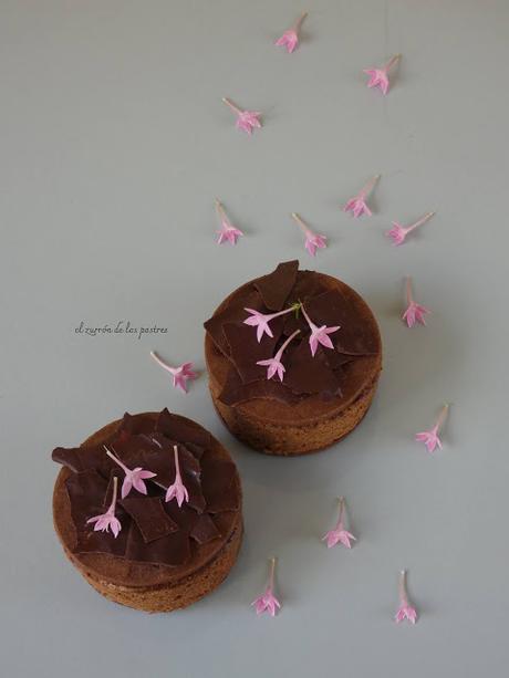 Galletas Sacher Galletas Sacher