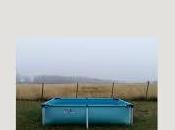 llanos, Federico Falco