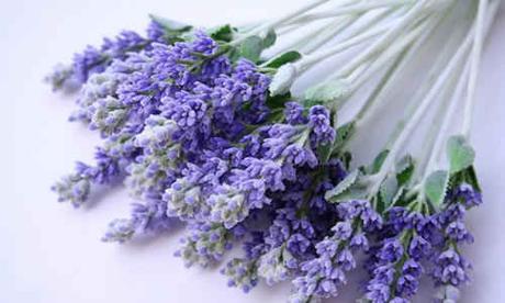Beneficios de la Lavanda